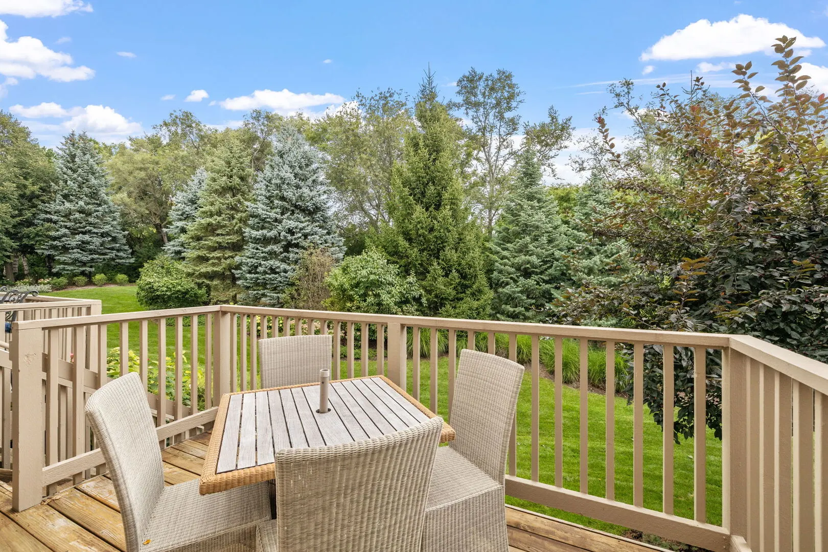 805 Stone Canyon Circle IL