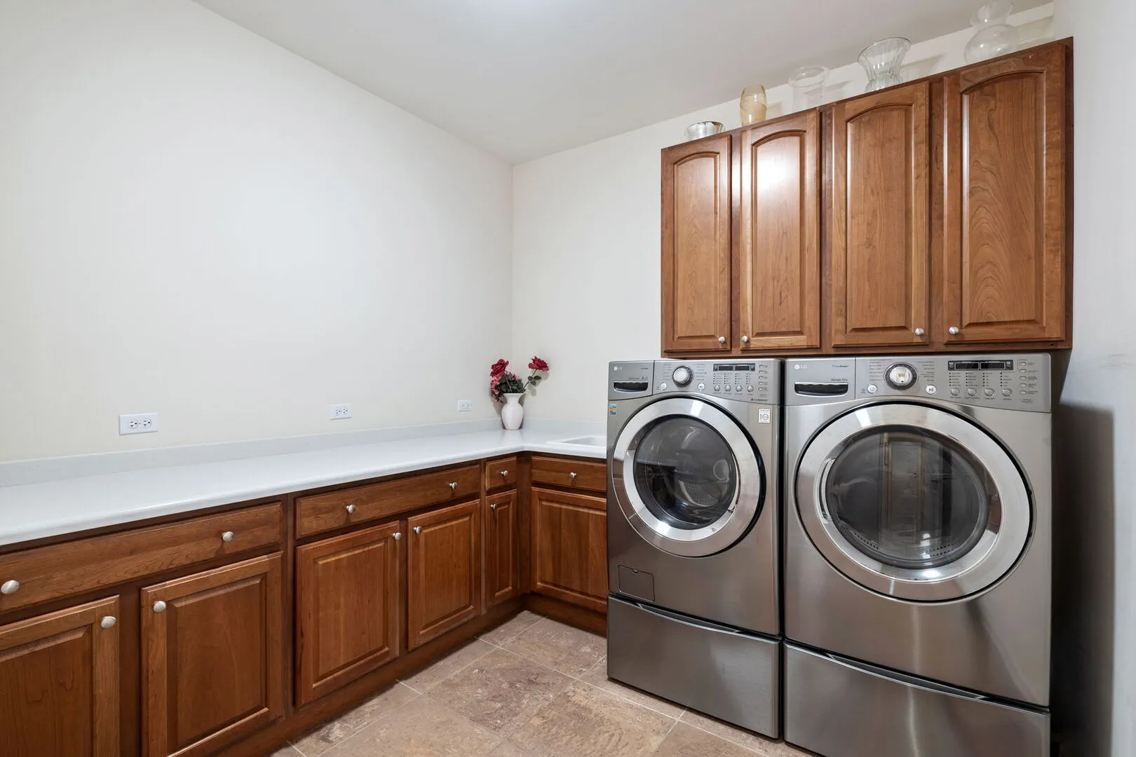 805 Stone Canyon Circle IL