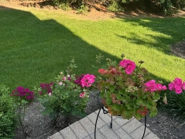 805 Stone Canyon Circle IL