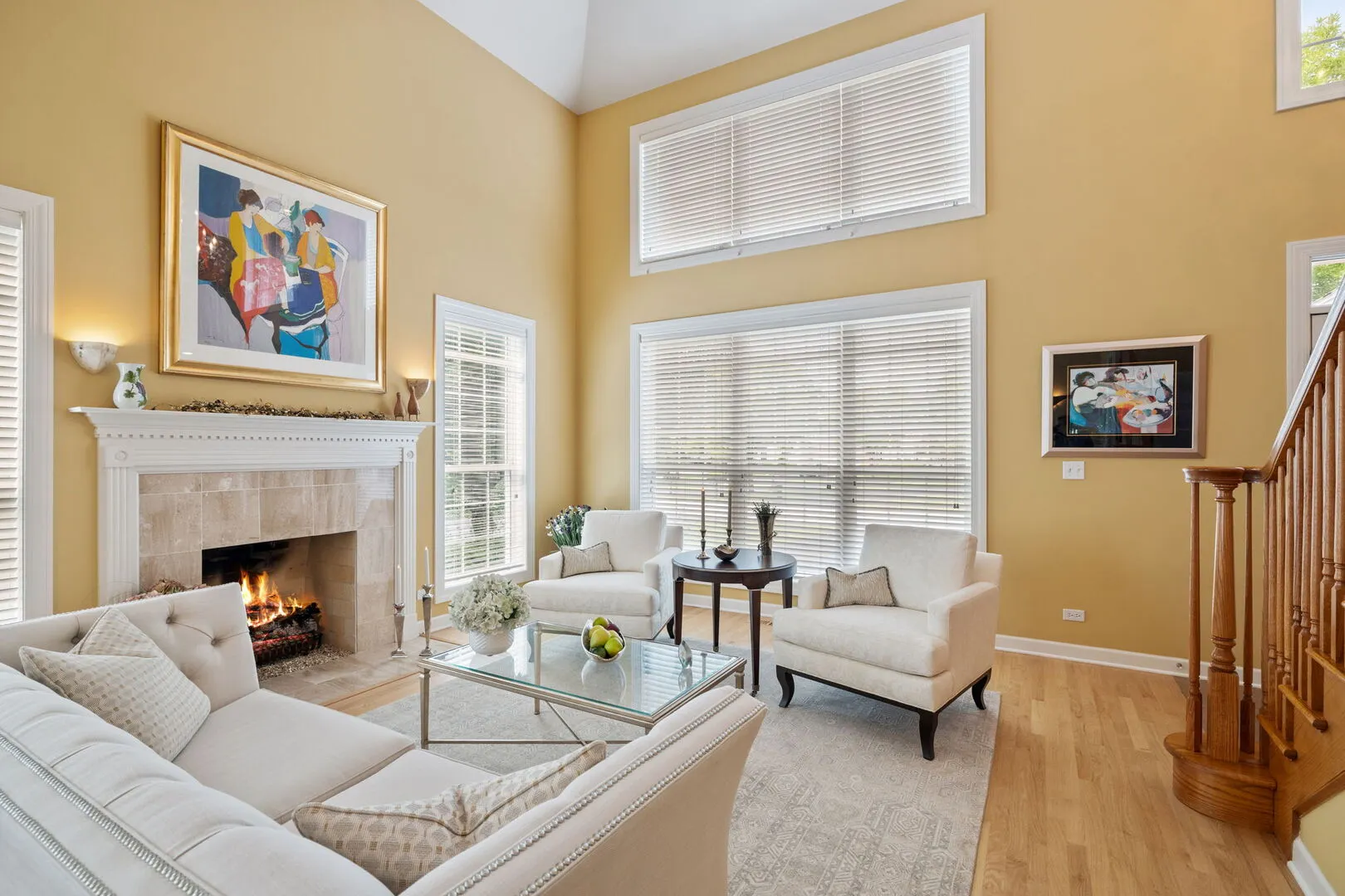 805 Stone Canyon Circle IL