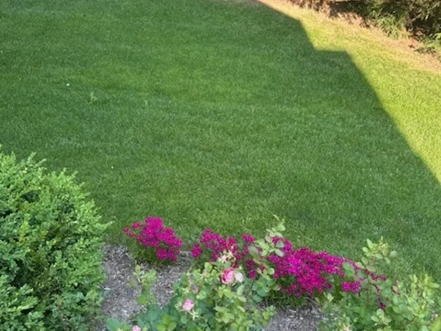 805 Stone Canyon Circle IL