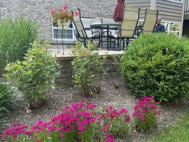 805 Stone Canyon Circle IL