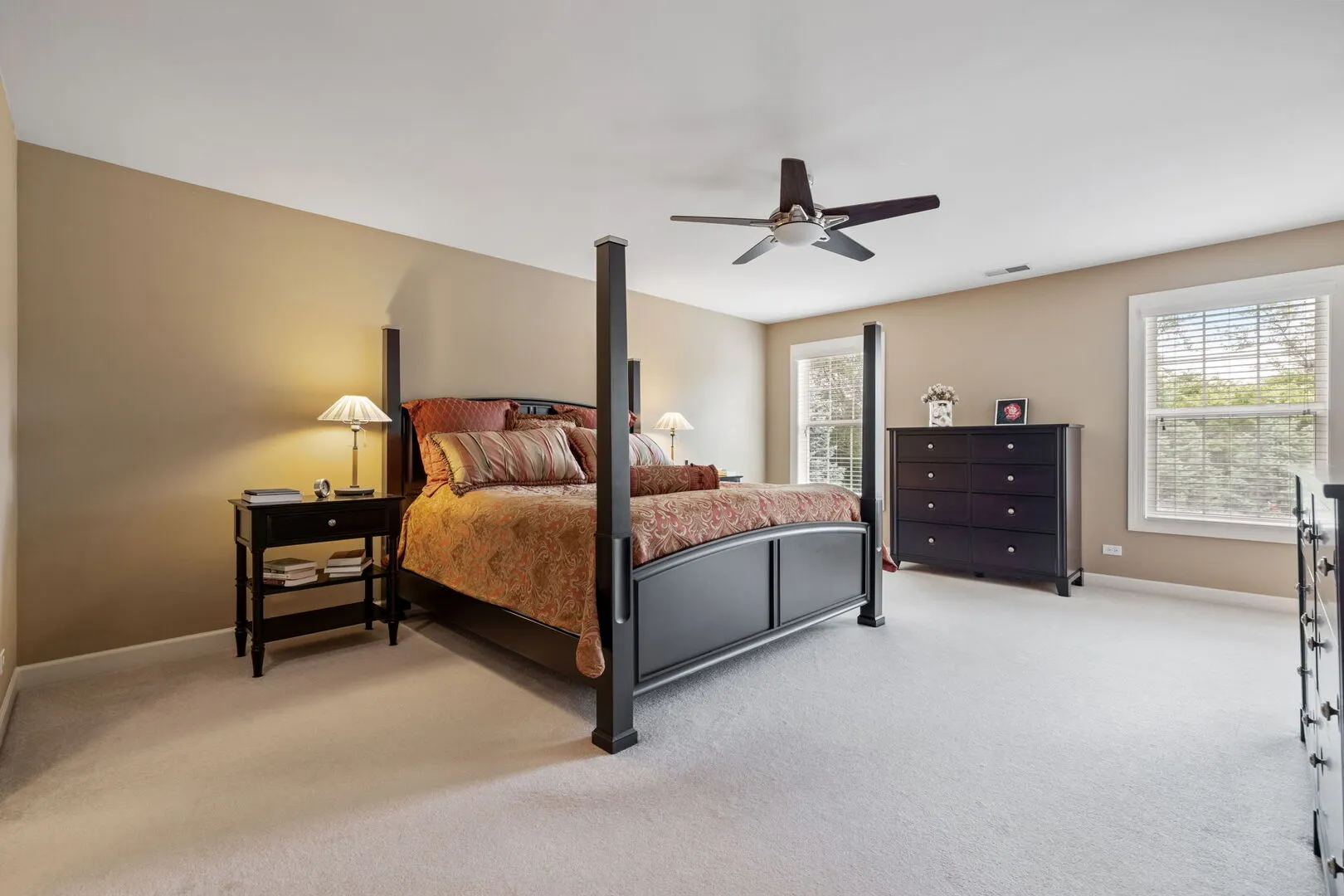 805 Stone Canyon Circle IL