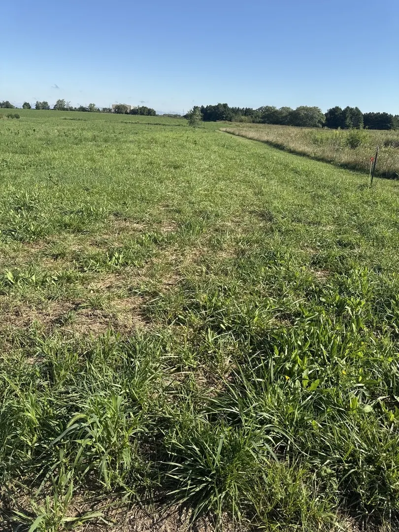 2273 N 3409th Road IL