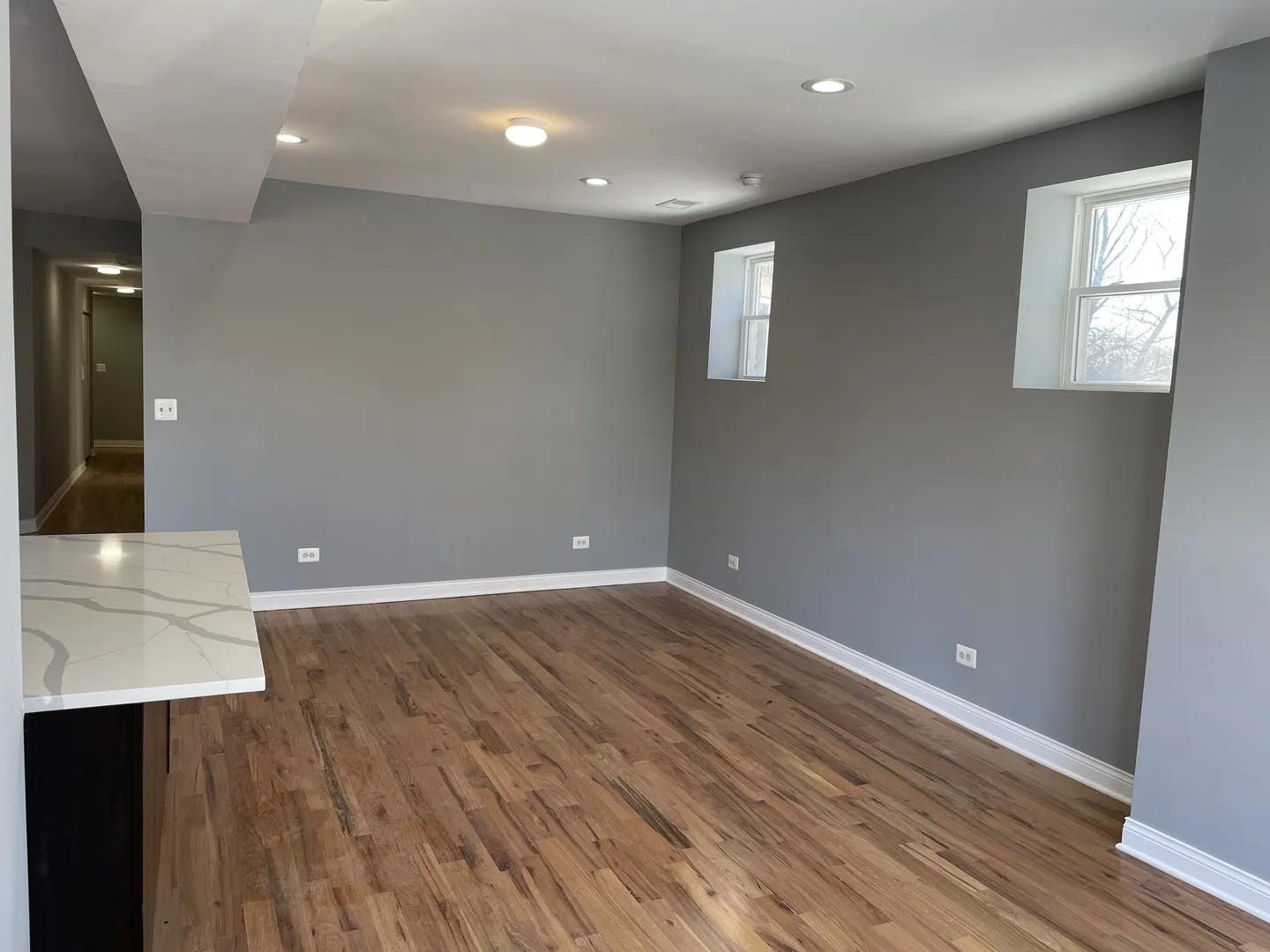 1411 E 67th Place 2W IL