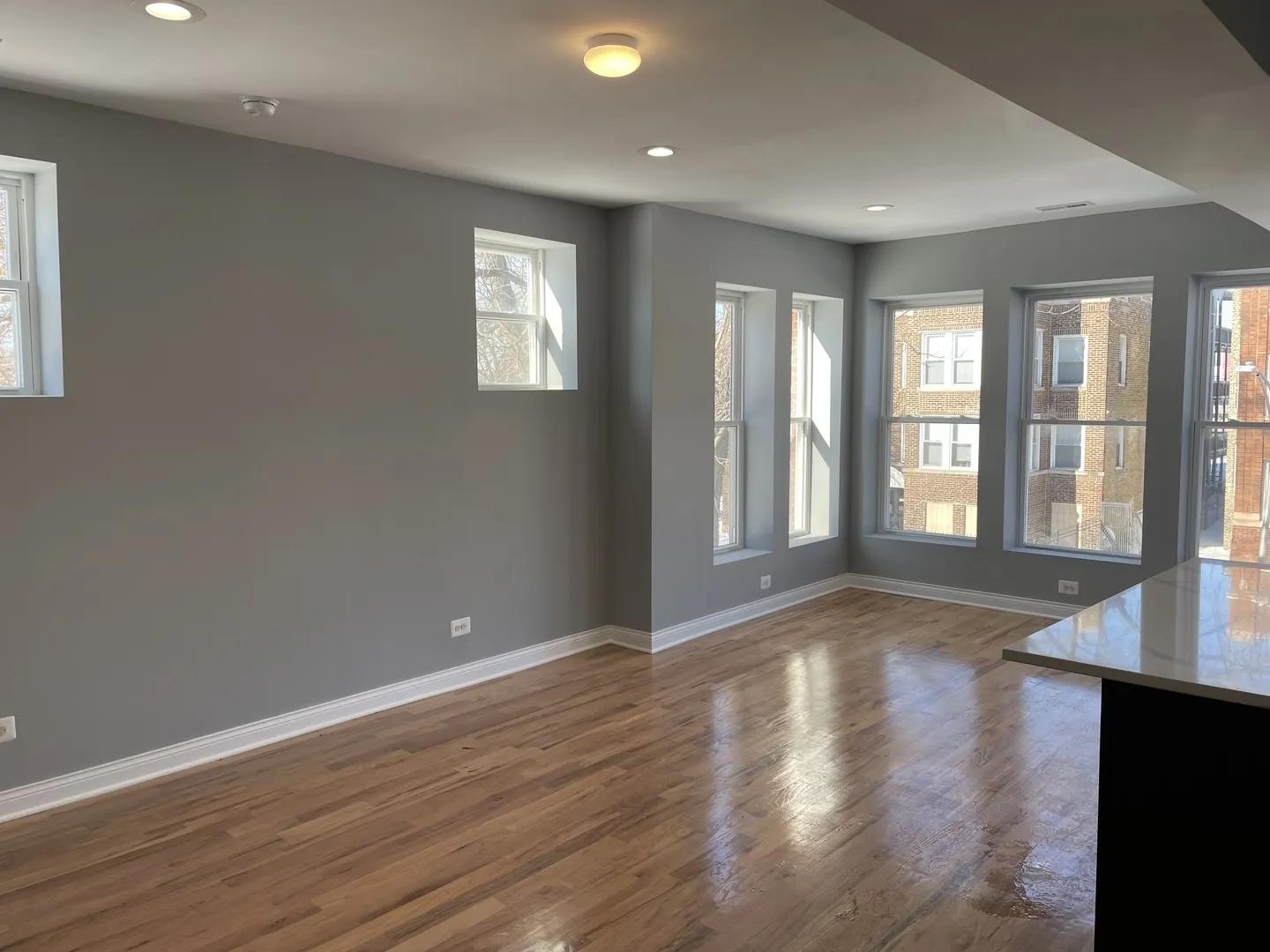 1411 E 67th Place 2W IL