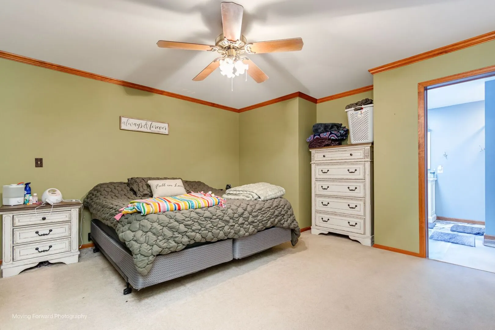 501 Erma Drive IL