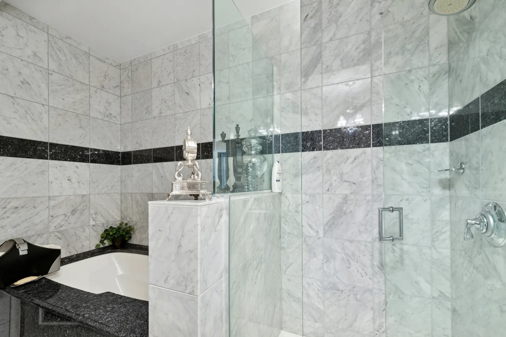 201 N Westshore Drive 1701 IL