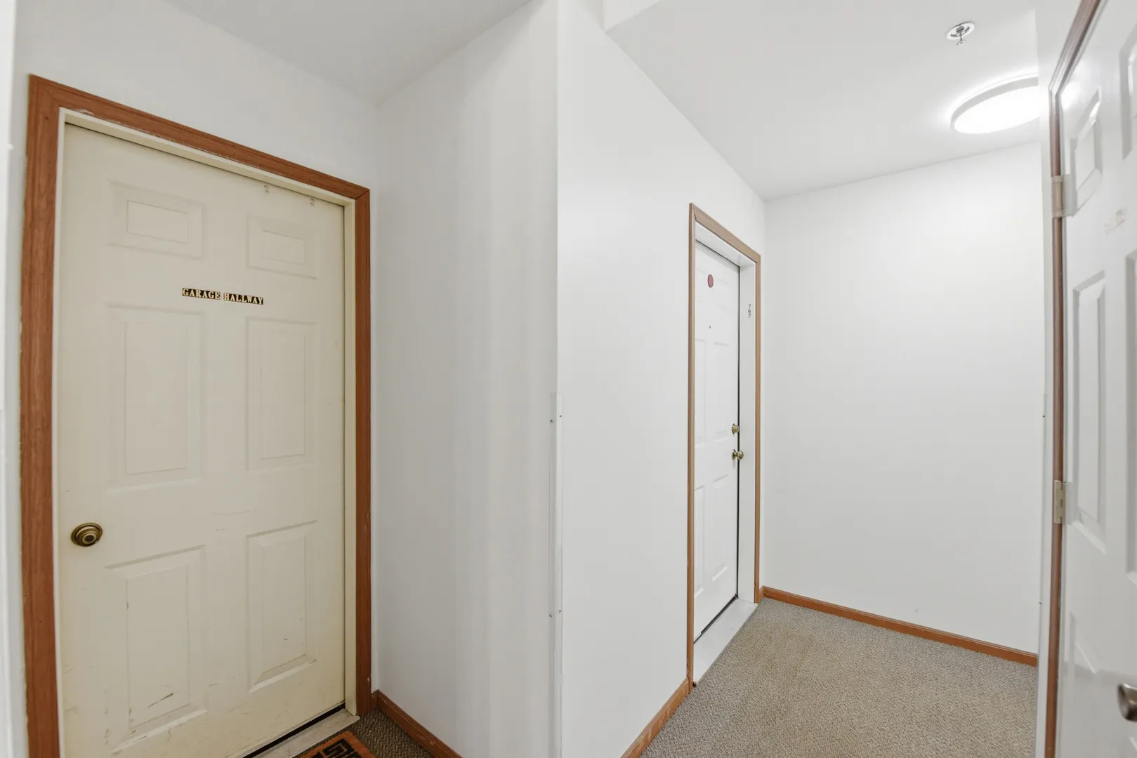 767 E Whispering Oaks Drive 767 IL