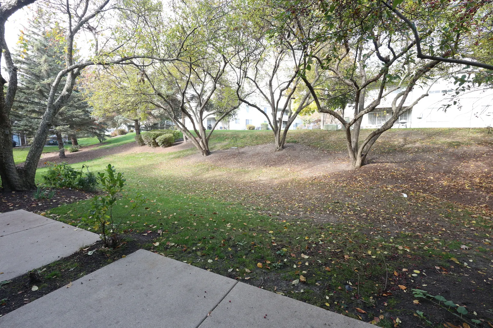 1840 GROVE Avenue IL