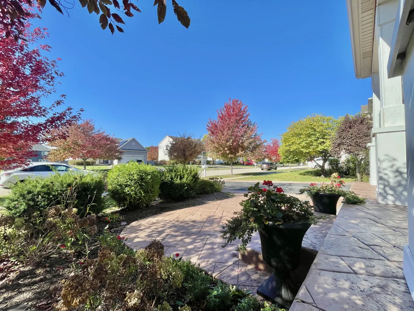 1055 Christine Lane IL