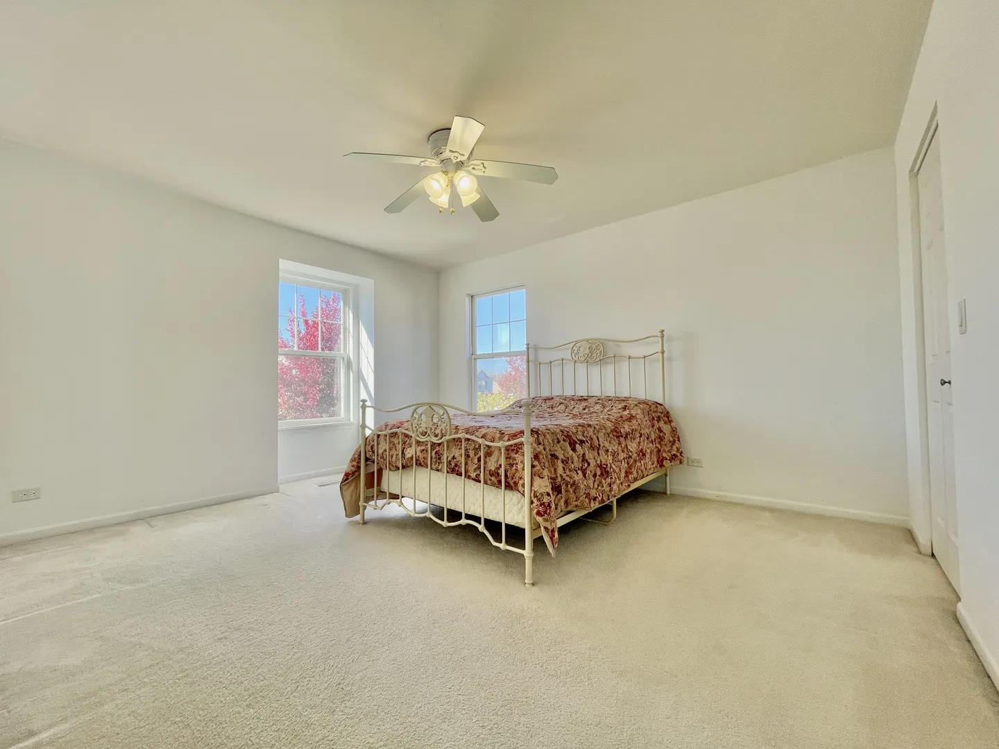 1055 Christine Lane IL