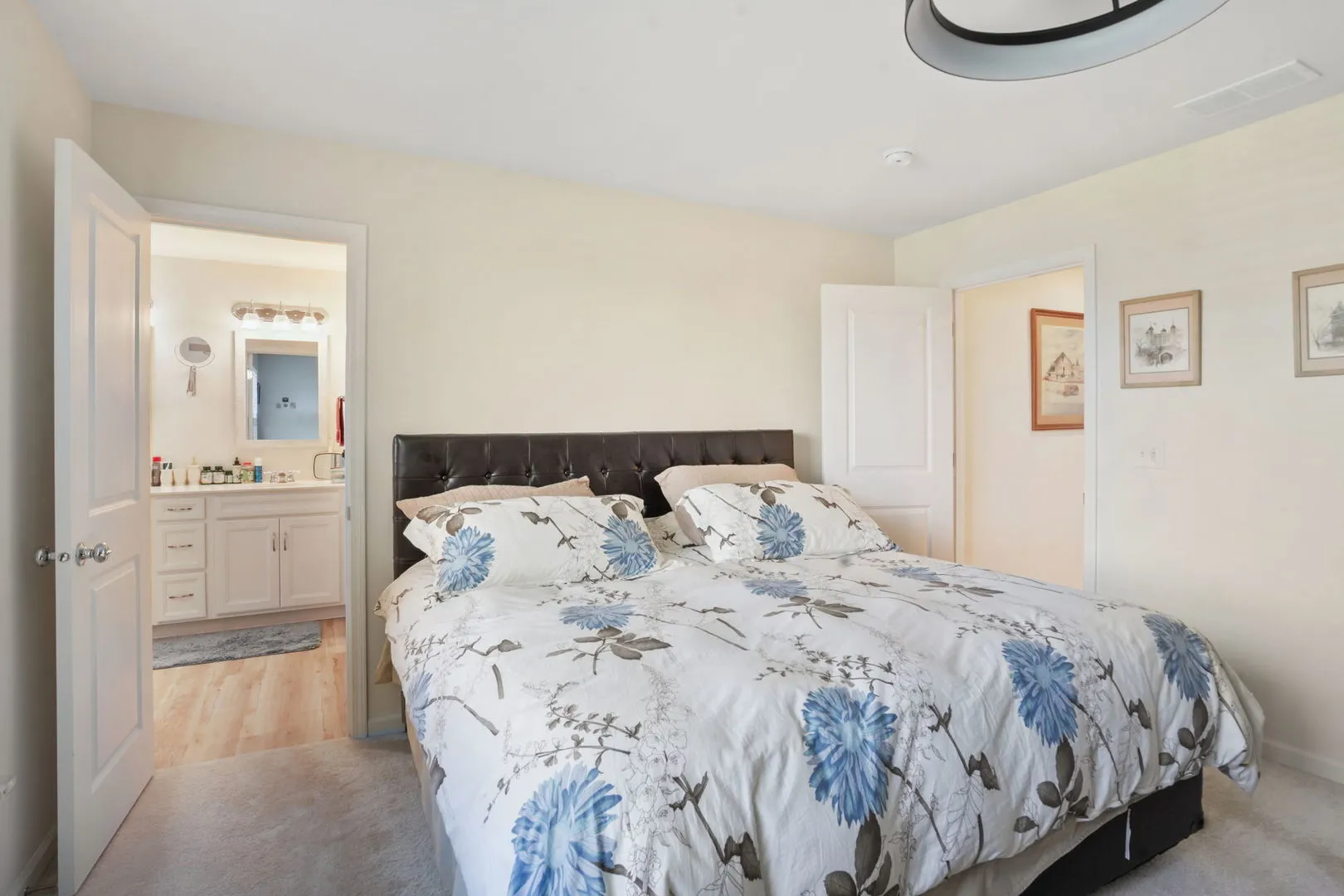 24528 W Alexis Lane IL