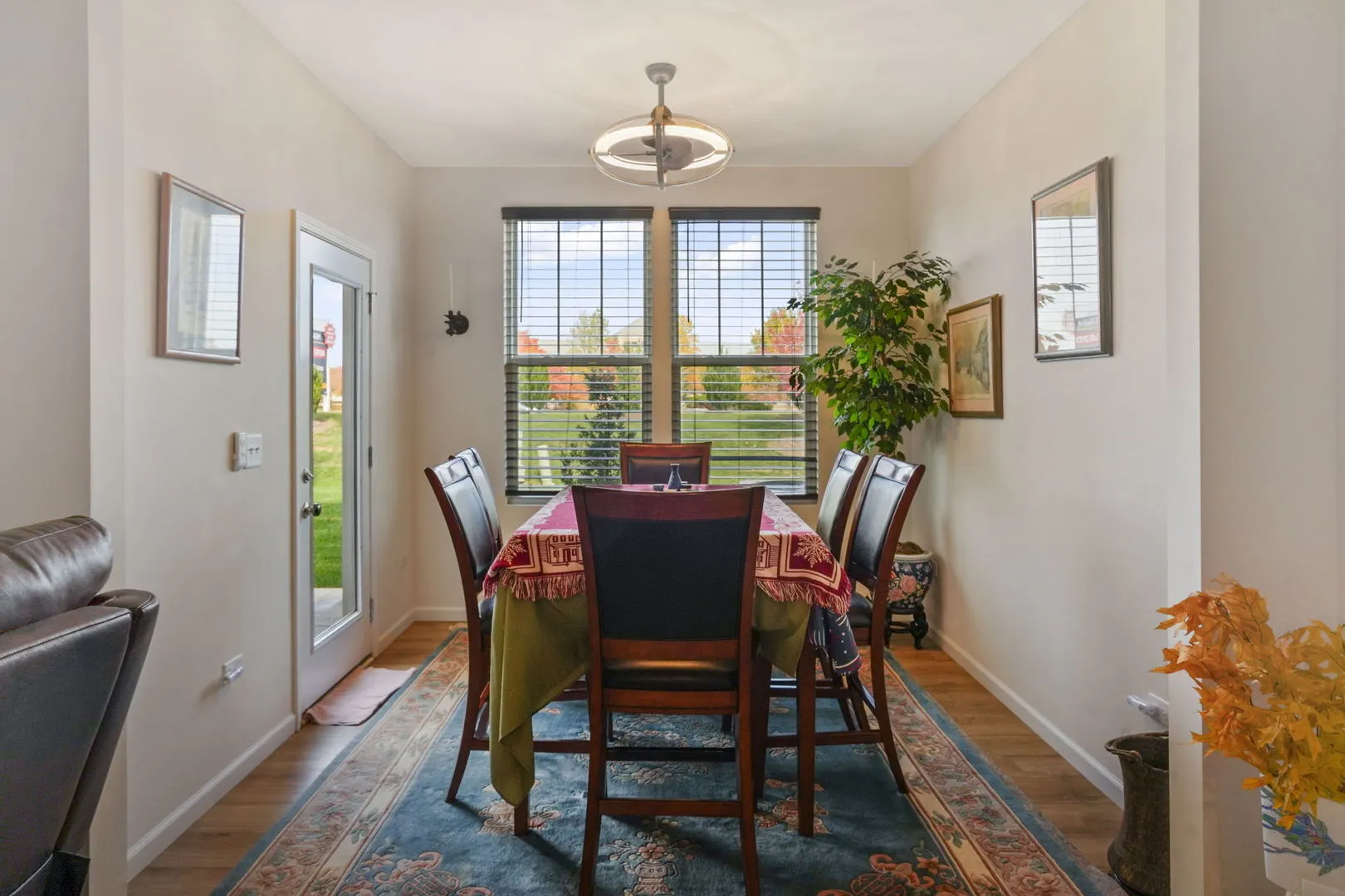 24528 W Alexis Lane IL