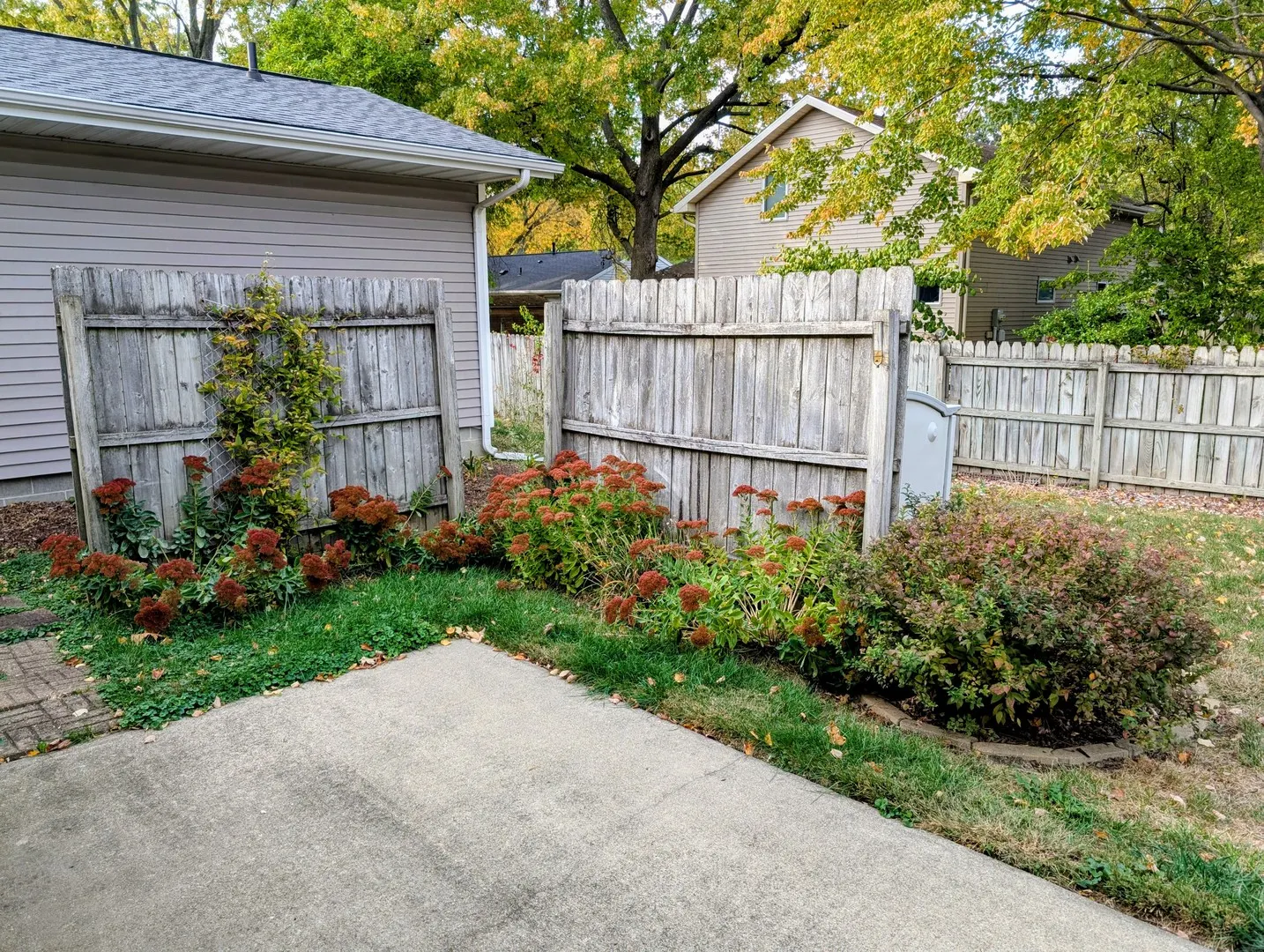 2302 Blackthorn Drive IL