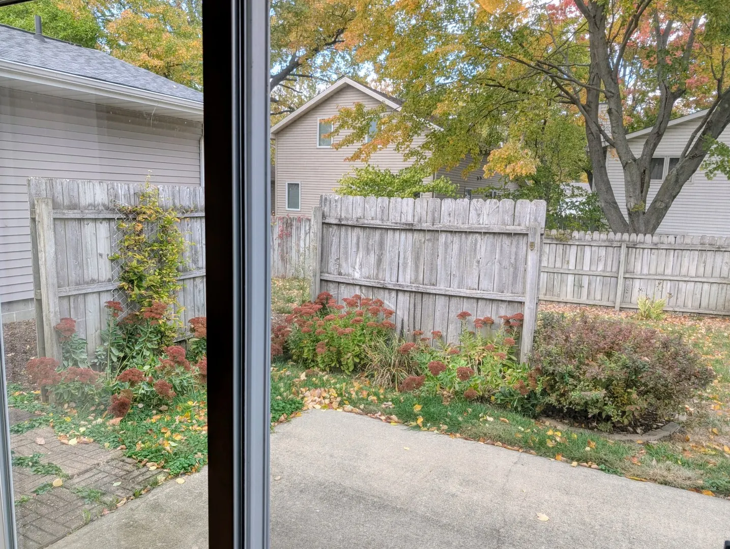 2302 Blackthorn Drive IL