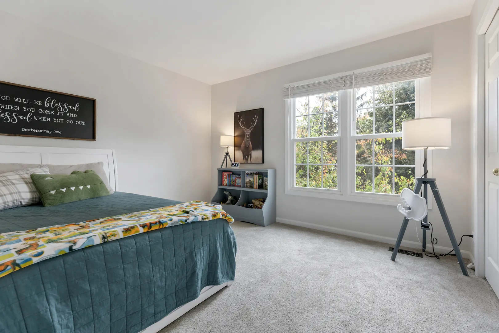 1971 Peach Tree Lane IL