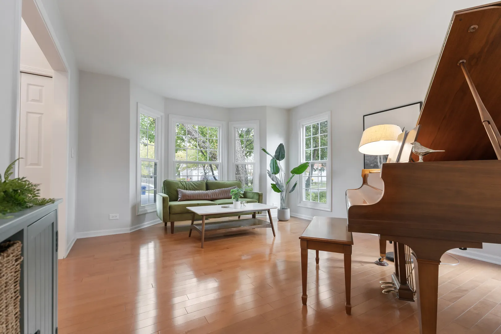 1971 Peach Tree Lane IL