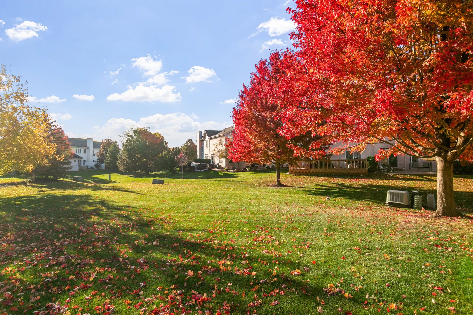 1086 BIRCH Lane 39R IL