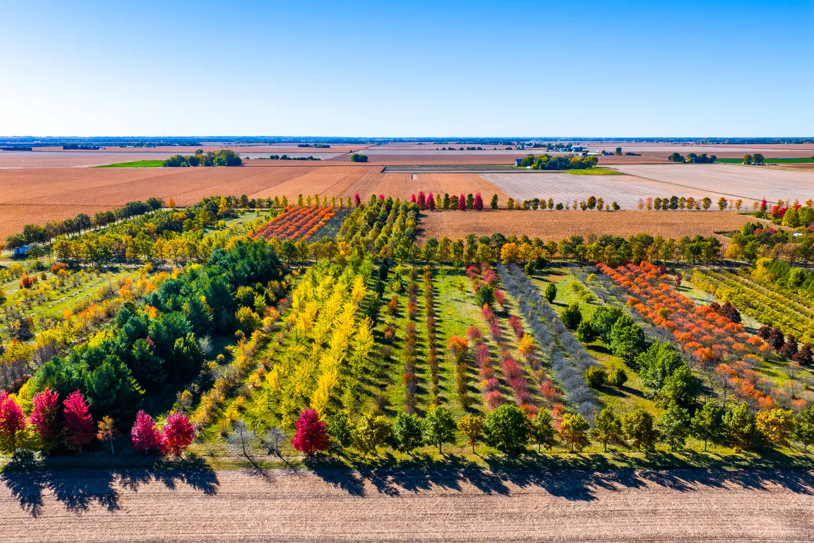 6128 E Sandwich Road IL