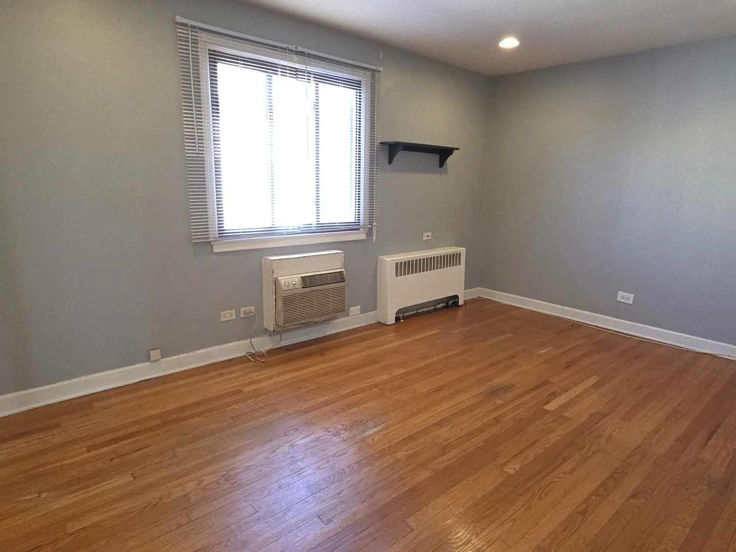 2038 W Jarvis Avenue 3E IL