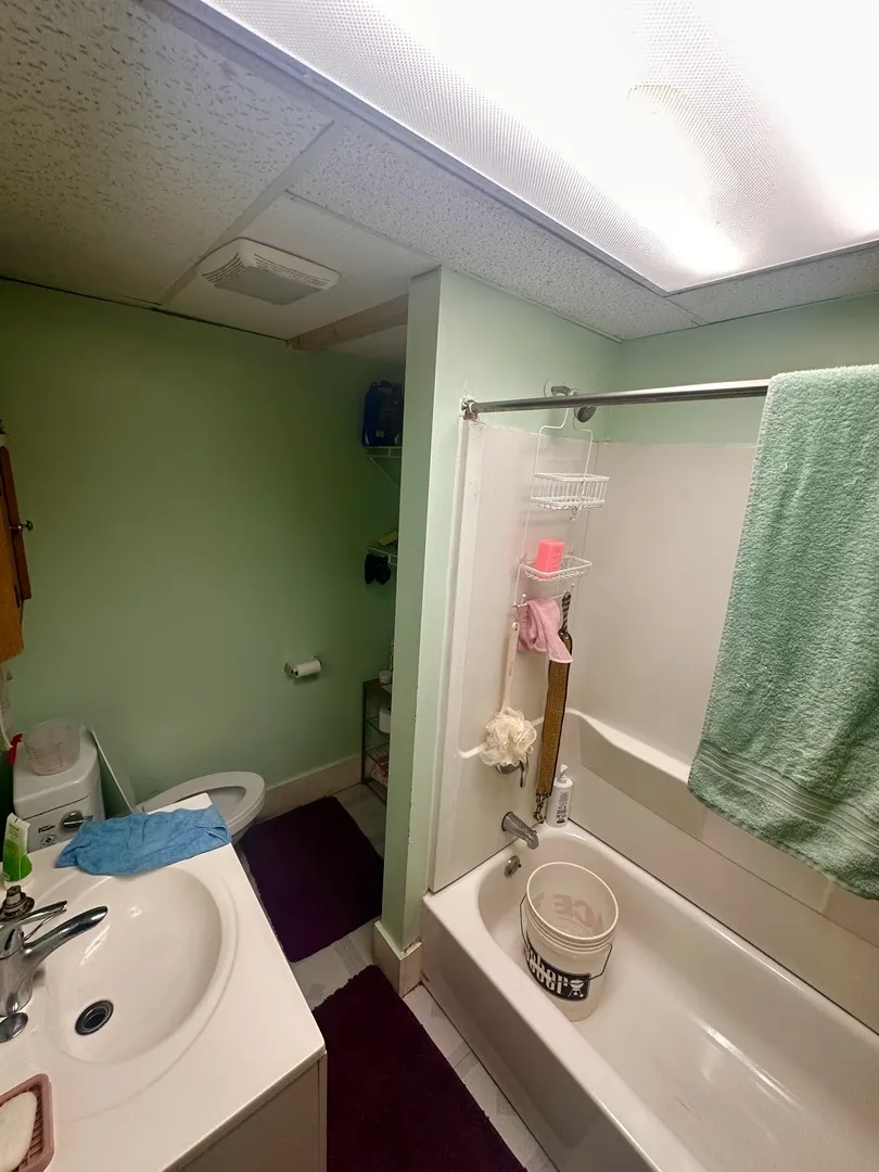 256 W DOWNER Place IL