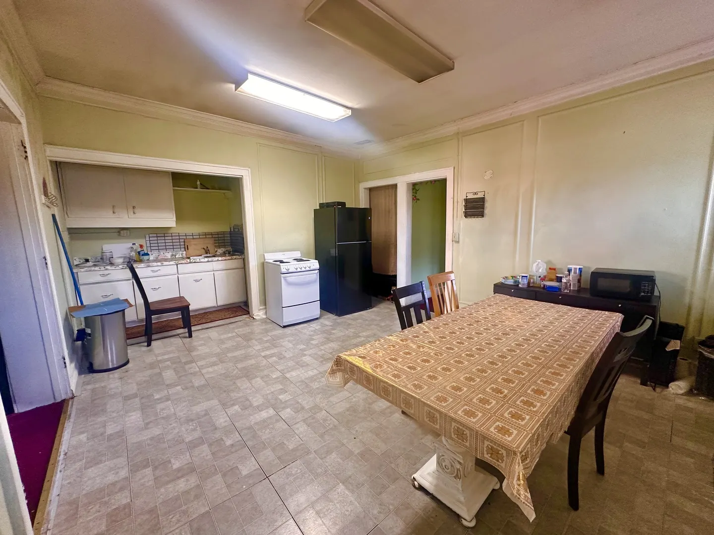 256 W DOWNER Place IL