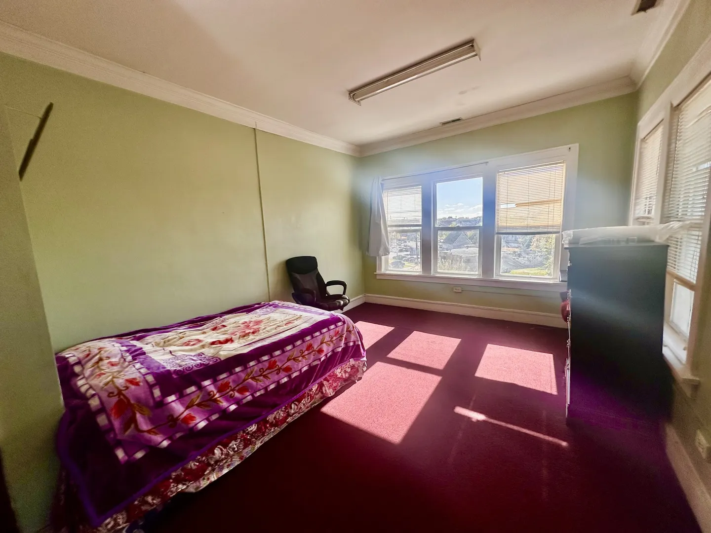 256 W DOWNER Place IL