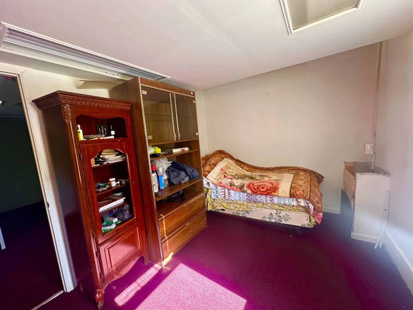 256 W DOWNER Place IL