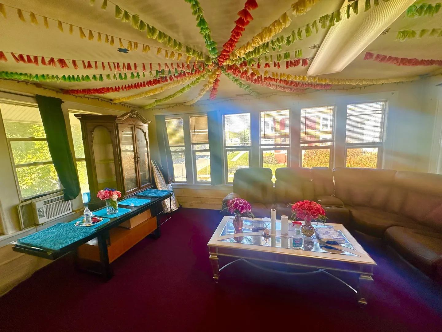 256 W DOWNER Place IL