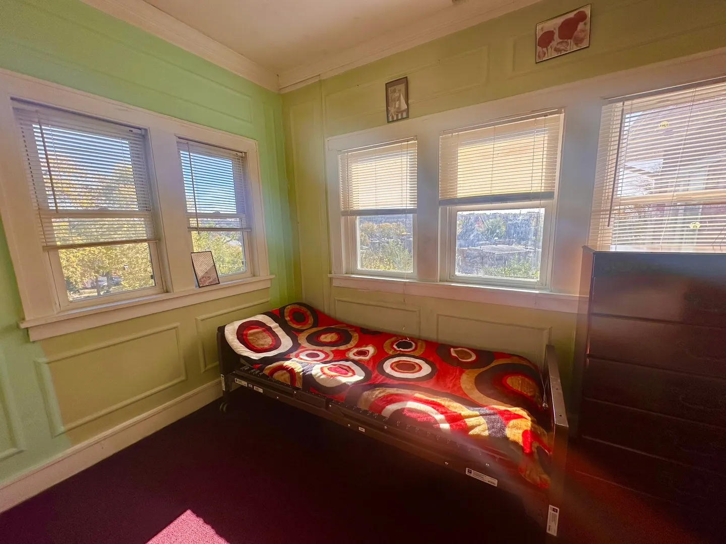 256 W DOWNER Place IL