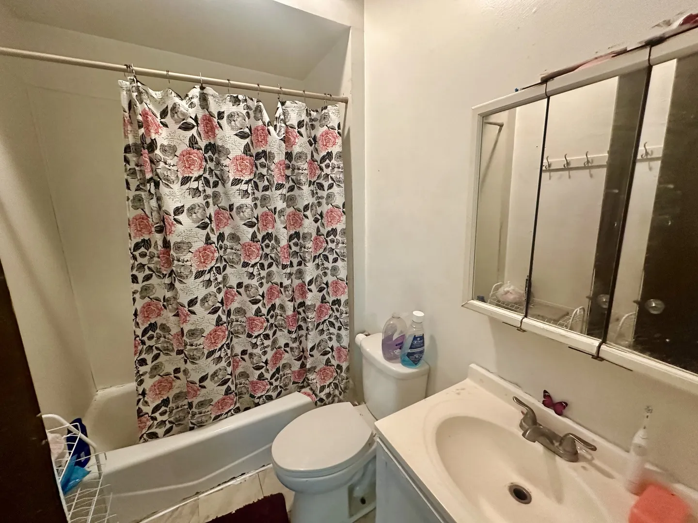 256 W DOWNER Place IL