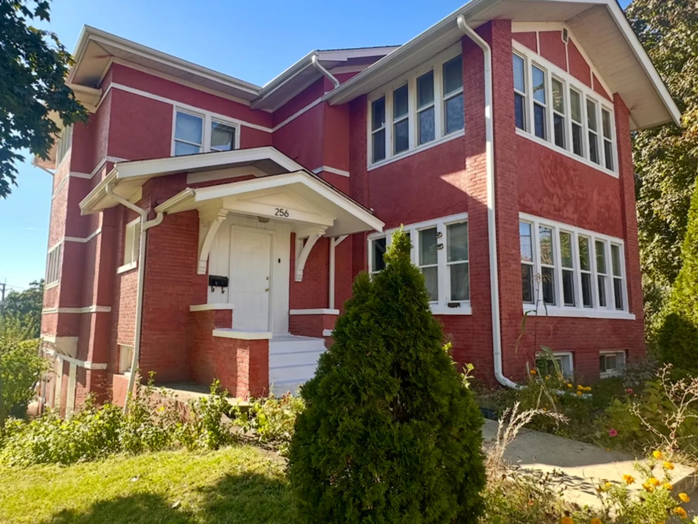 256 W DOWNER Place IL