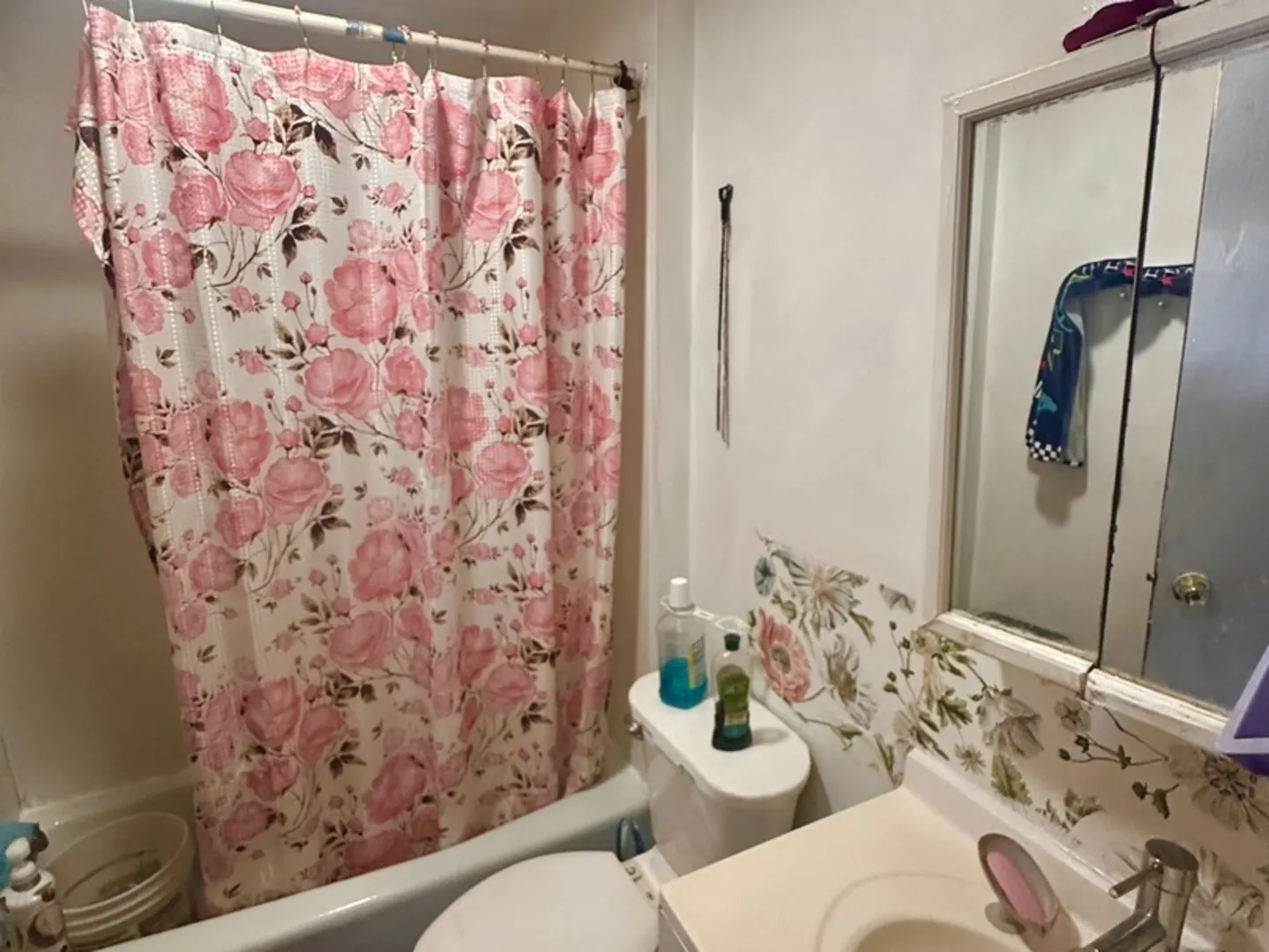 256 W DOWNER Place IL