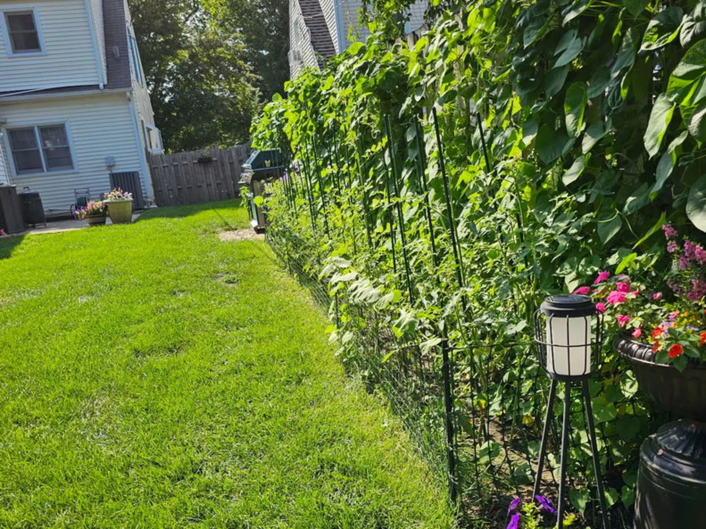 745 S Chestnut Avenue IL