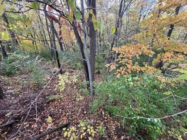 2795 E 28th Lot 1445 Road IL