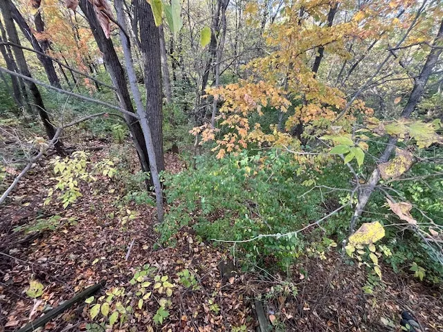 2795 E 28th Lot 1445 Road IL