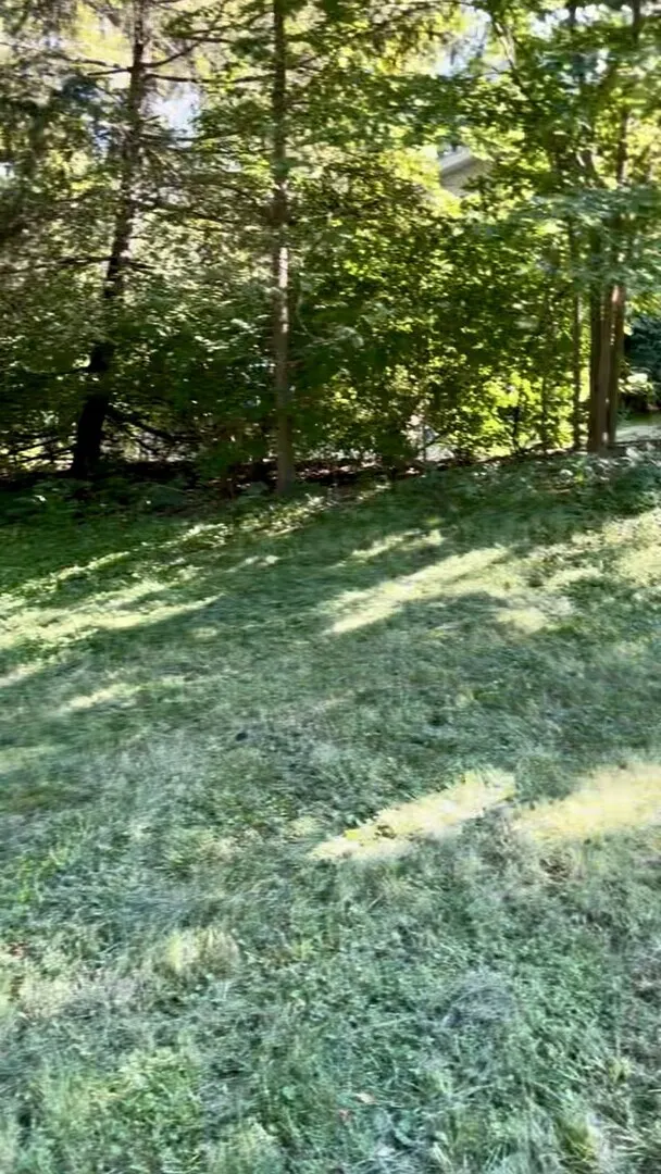 17 E Lyncliff Drive IL