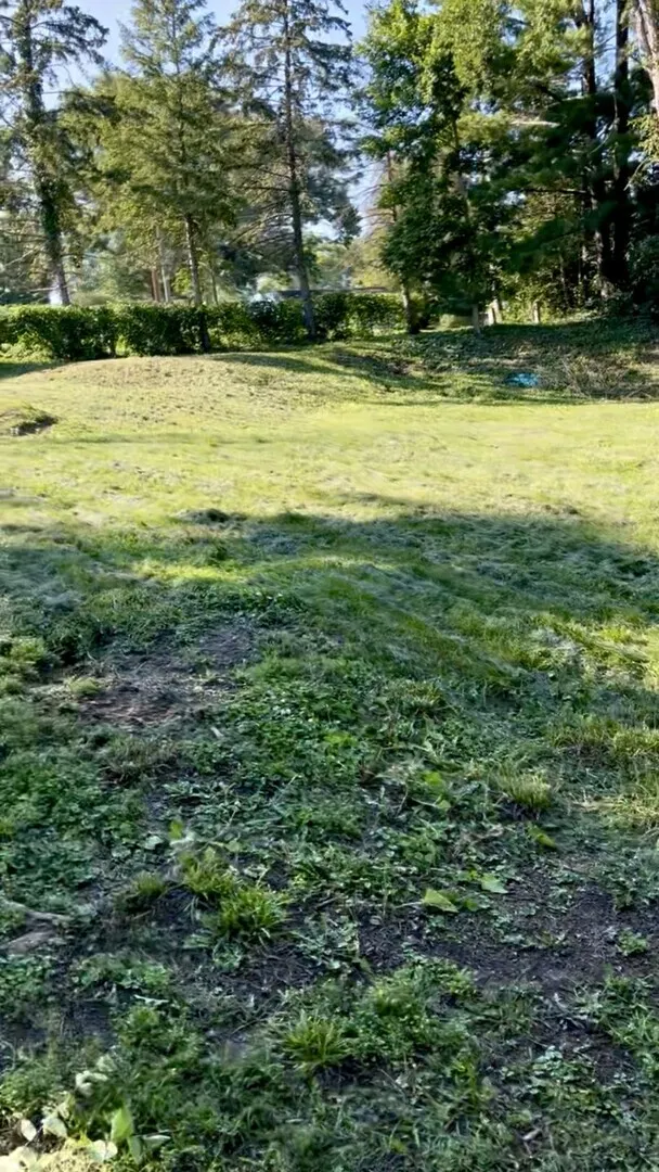 17 E Lyncliff Drive IL