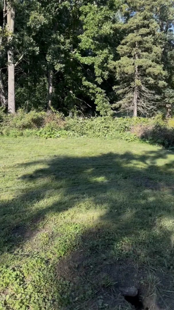 17 E Lyncliff Drive IL