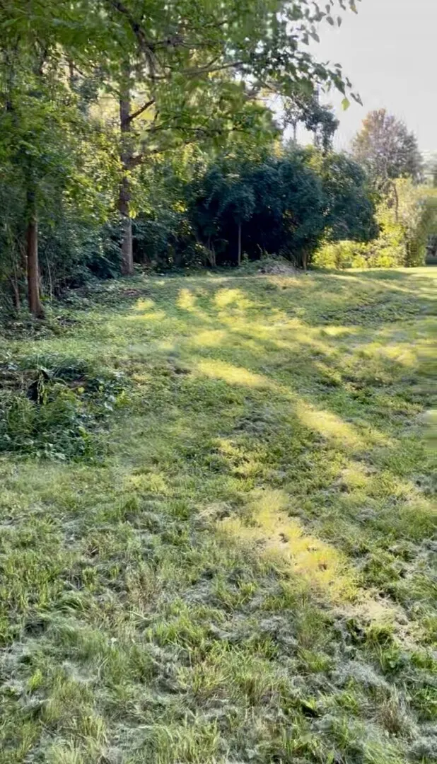 17 E Lyncliff Drive IL