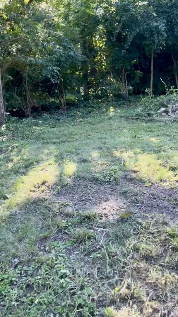 17 E Lyncliff Drive IL