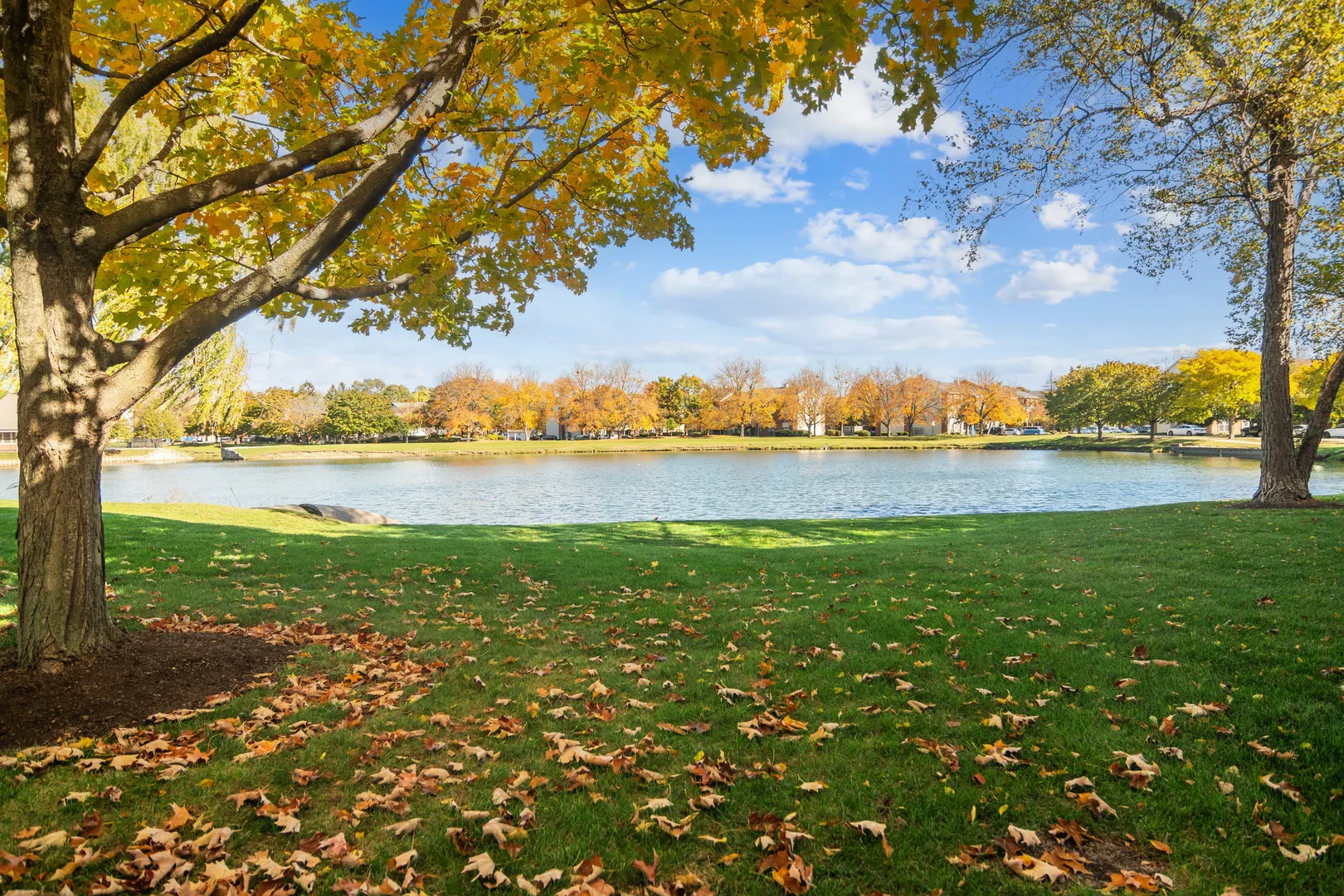 1316 E Evergreen Drive 7 IL