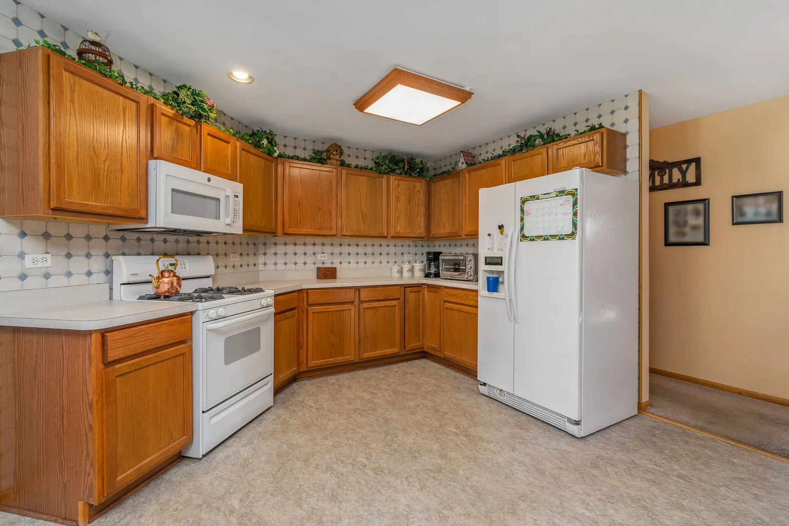 11628 Hidden Valley Cove IL