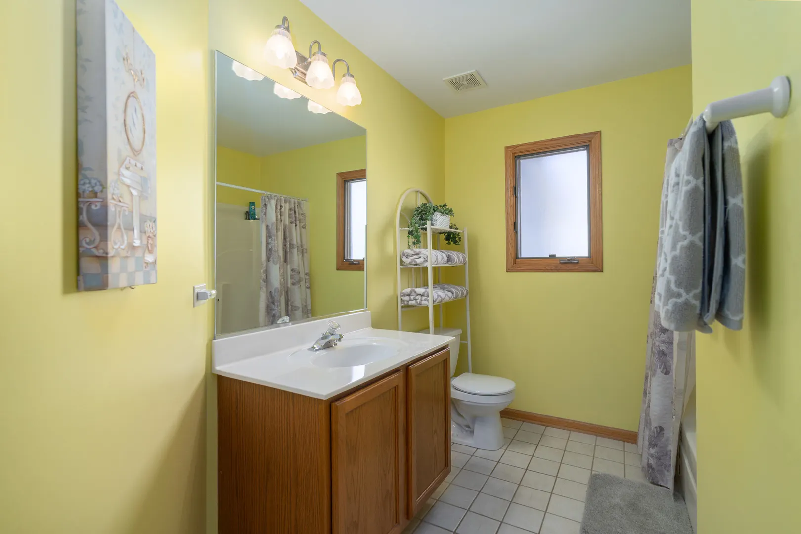 11628 Hidden Valley Cove IL