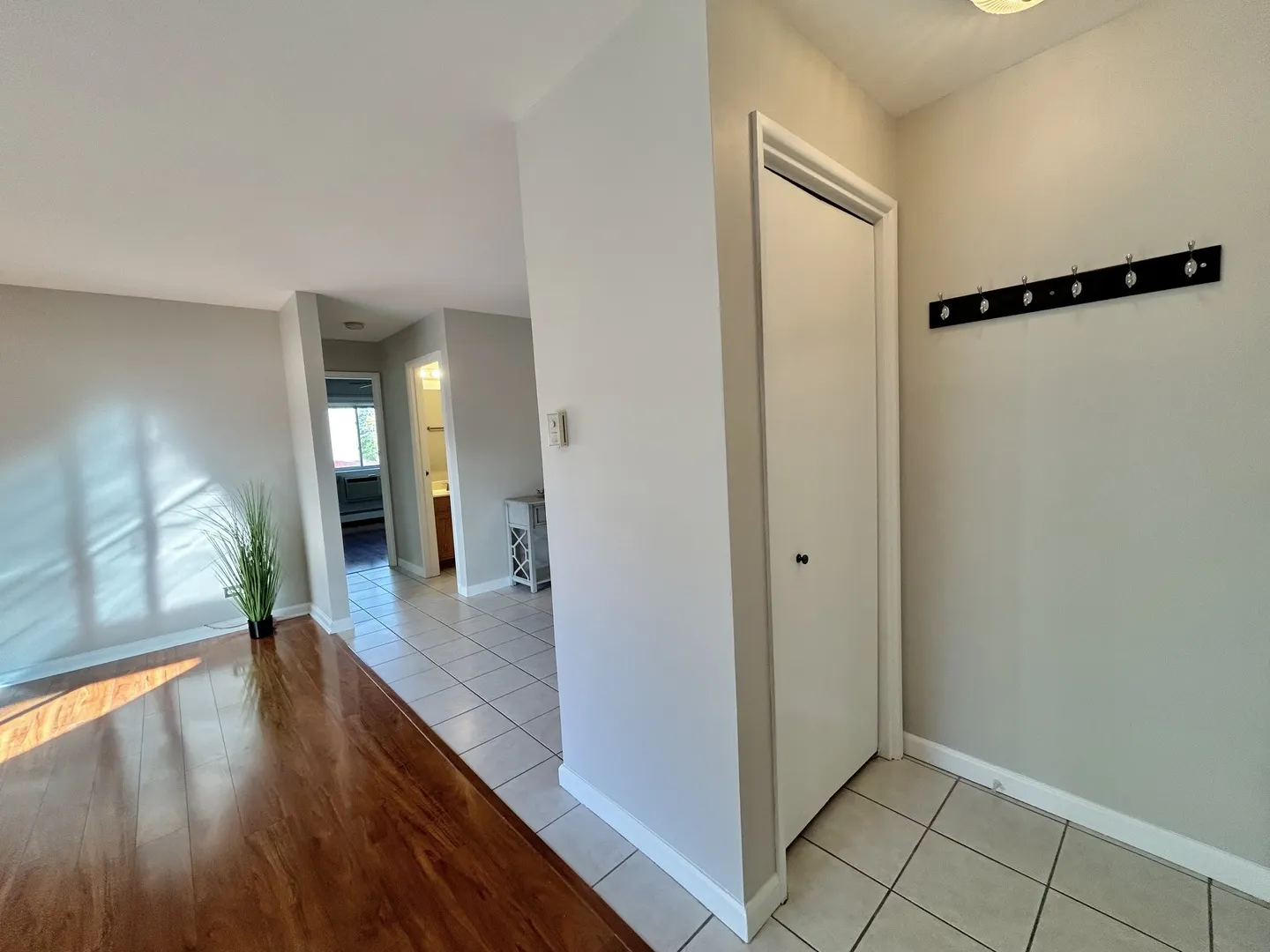 12817 CARRIAGE Lane 5 IL