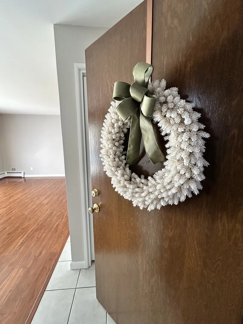 12817 CARRIAGE Lane 5 IL