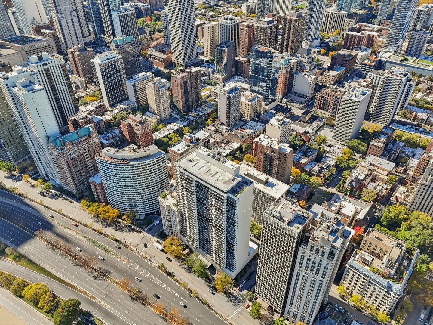 1212 N Lake Shore Drive 10CS IL