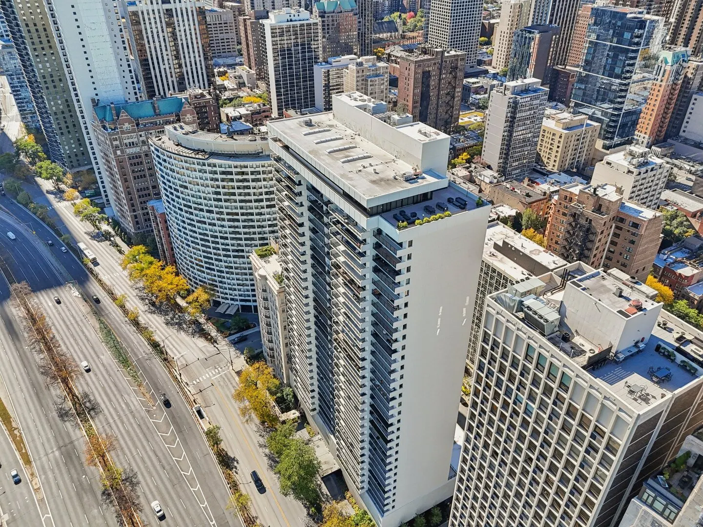 1212 N Lake Shore Drive 10CS IL