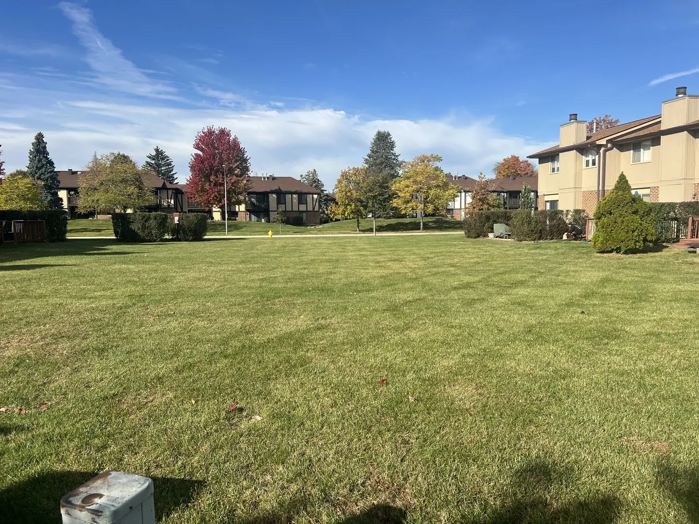 1038 Liskeard Court IL